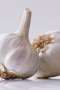 Garlic